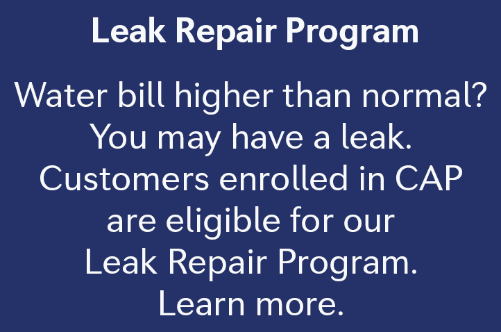 leak repair